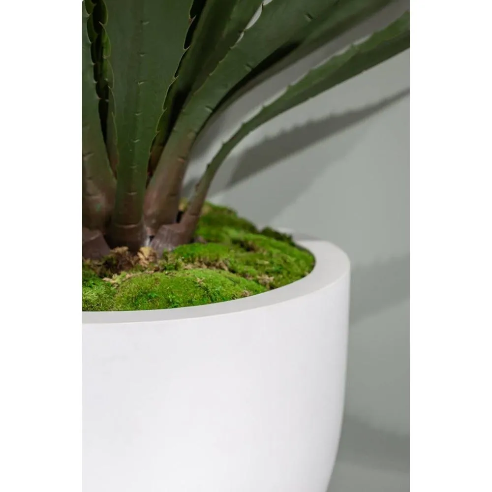 Bac fibres de verre renforcé Ø55cm h46cm ext. Bullet bas blanc mat