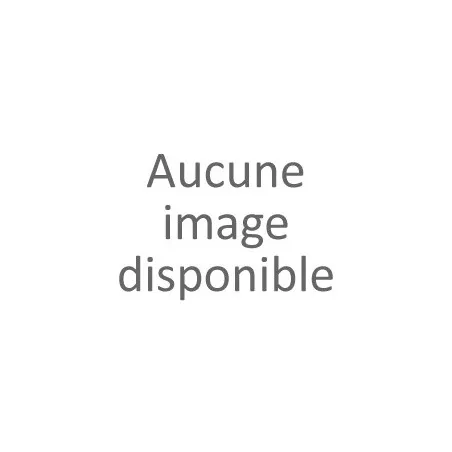 Chaussure noire fantaisie femme (36-41)