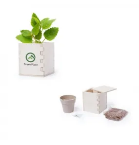 Pot de Fleurs Biodégradable et Personnalisable Merin en Bois