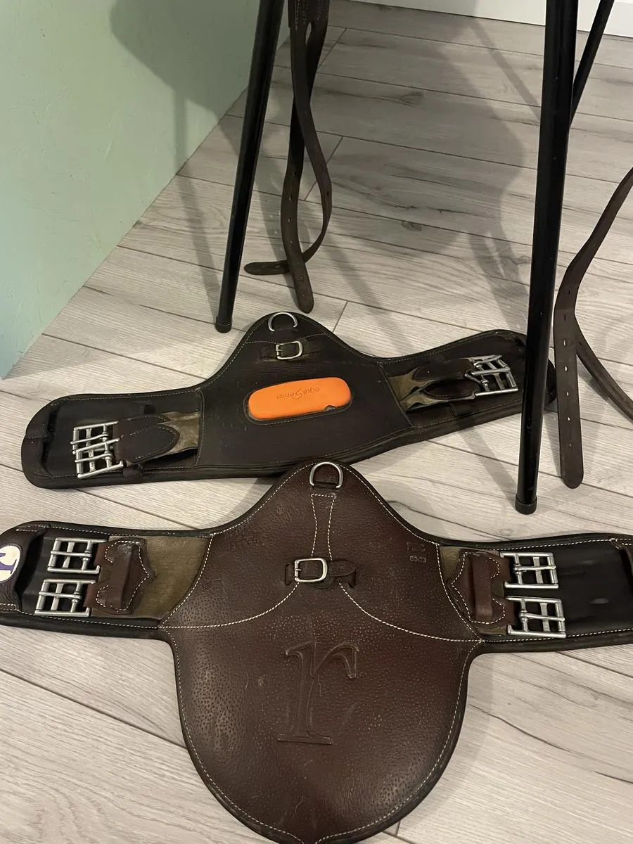 Selle rebelle sellier