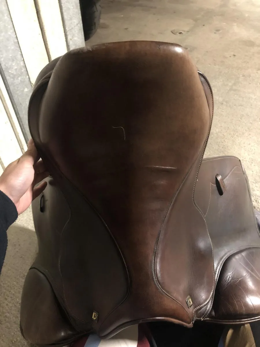 Selle tattini bristol 16,5